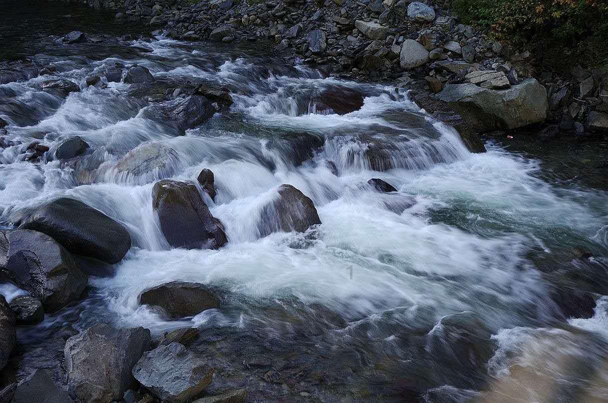 梦想牧场